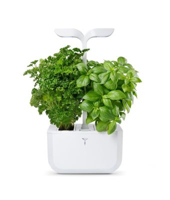 Veritable EXKY 2-Slot Smart Indoor Garden in Arctic White