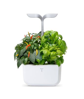 Veritable EXKY 2-Slot Smart Indoor Garden in Arctic White & Satin Silver