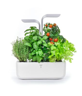 Veritable Classic - 4-Slot Smart Indoor Garden in Arctic White & Satin Silver