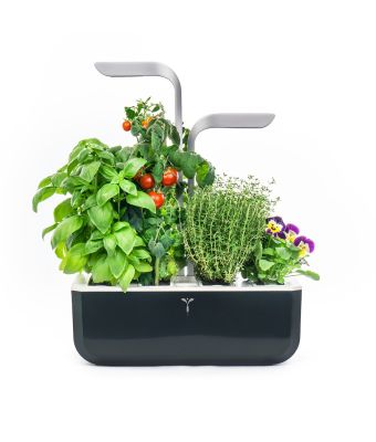 Veritable Classic - 4-Slot Smart Indoor Garden in Black