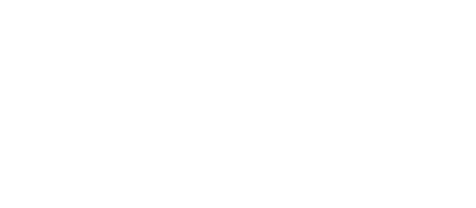 DPD Premium Delivery